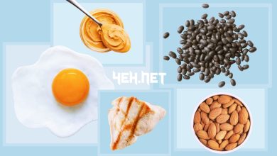 Protein Faydaları ve Zararları