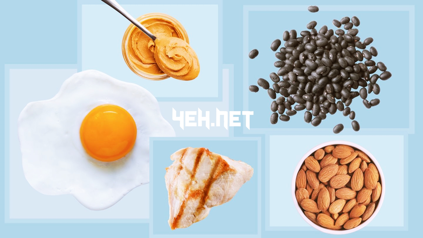 Protein Faydaları ve Zararları