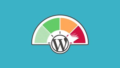 WordPress Sitesinin Hizi